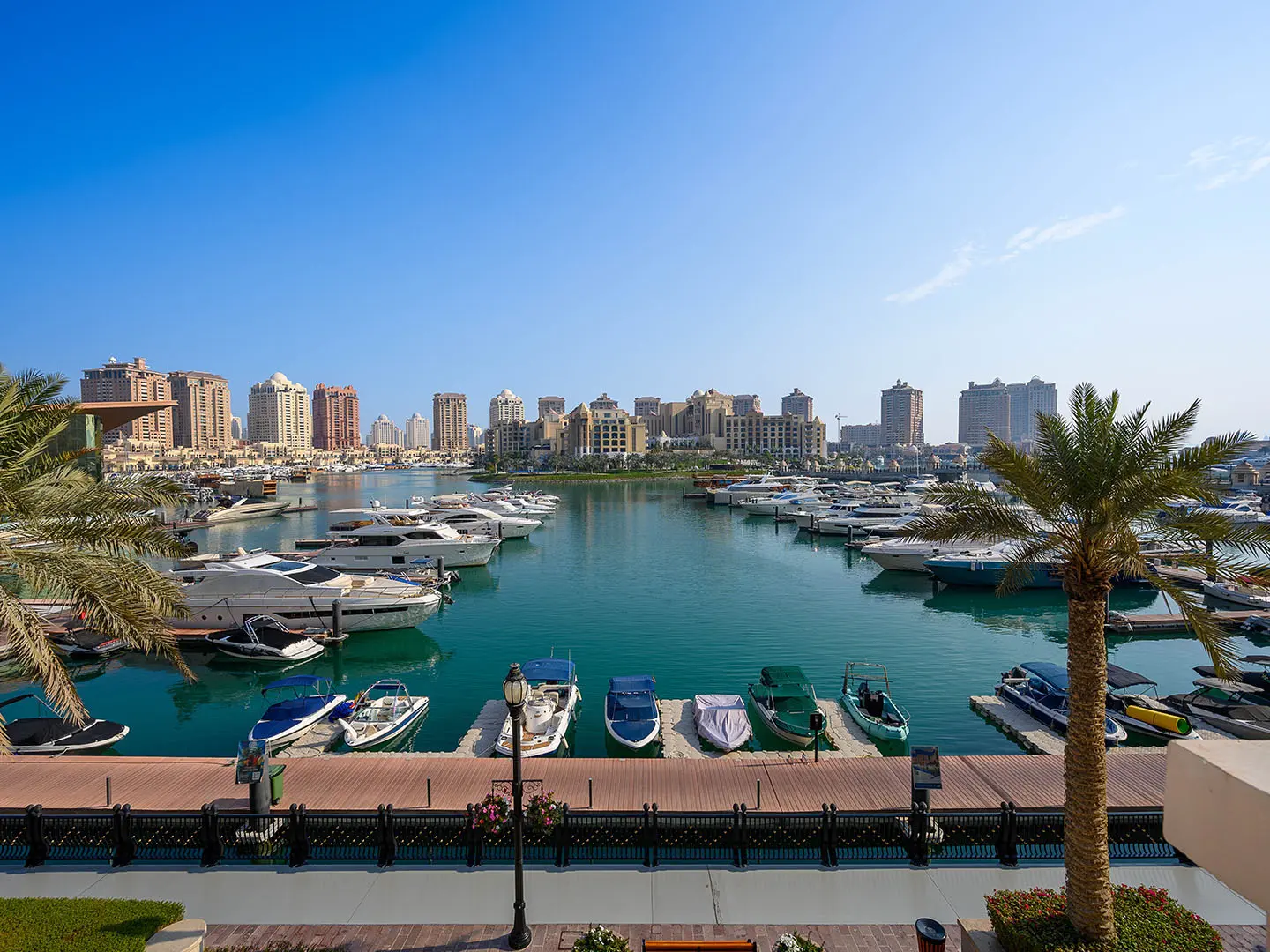 Marina view with boats, palm trees, and city skyline