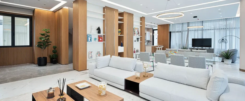 Contemporary living room with cozy decor